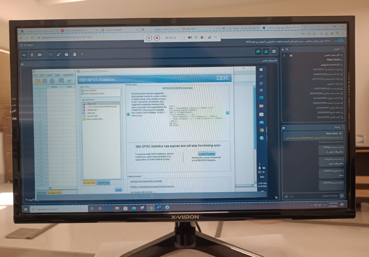 s p s s software summer school