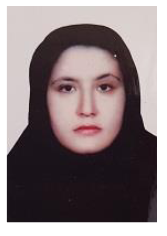 shirzadi